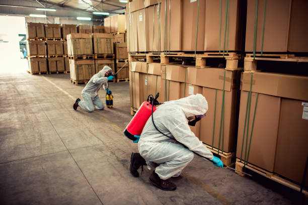 Best Best Pest Control Companies  in Grand Coulee, WA