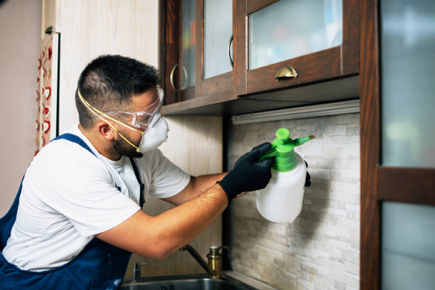 Best Pest Control Cost  in Grand Coulee, WA