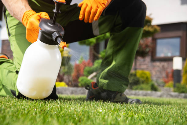 Best Pest Control Near Me  in Grand Coulee, WA