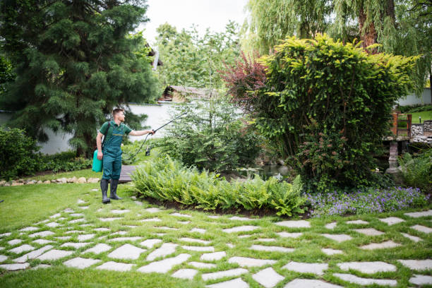 Best Pest Prevention Services  in Grand Coulee, WA