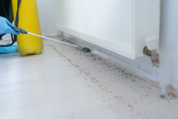 Best Ant Control Services  in Grand Coulee, WA