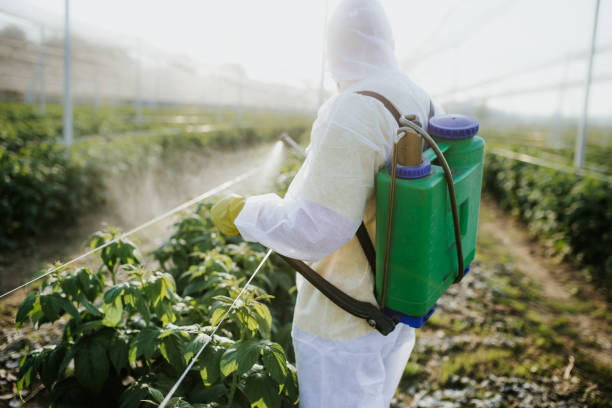  Grand Coulee, WA Pest Control Pros